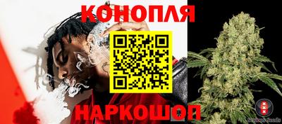 СК Краснокаменск